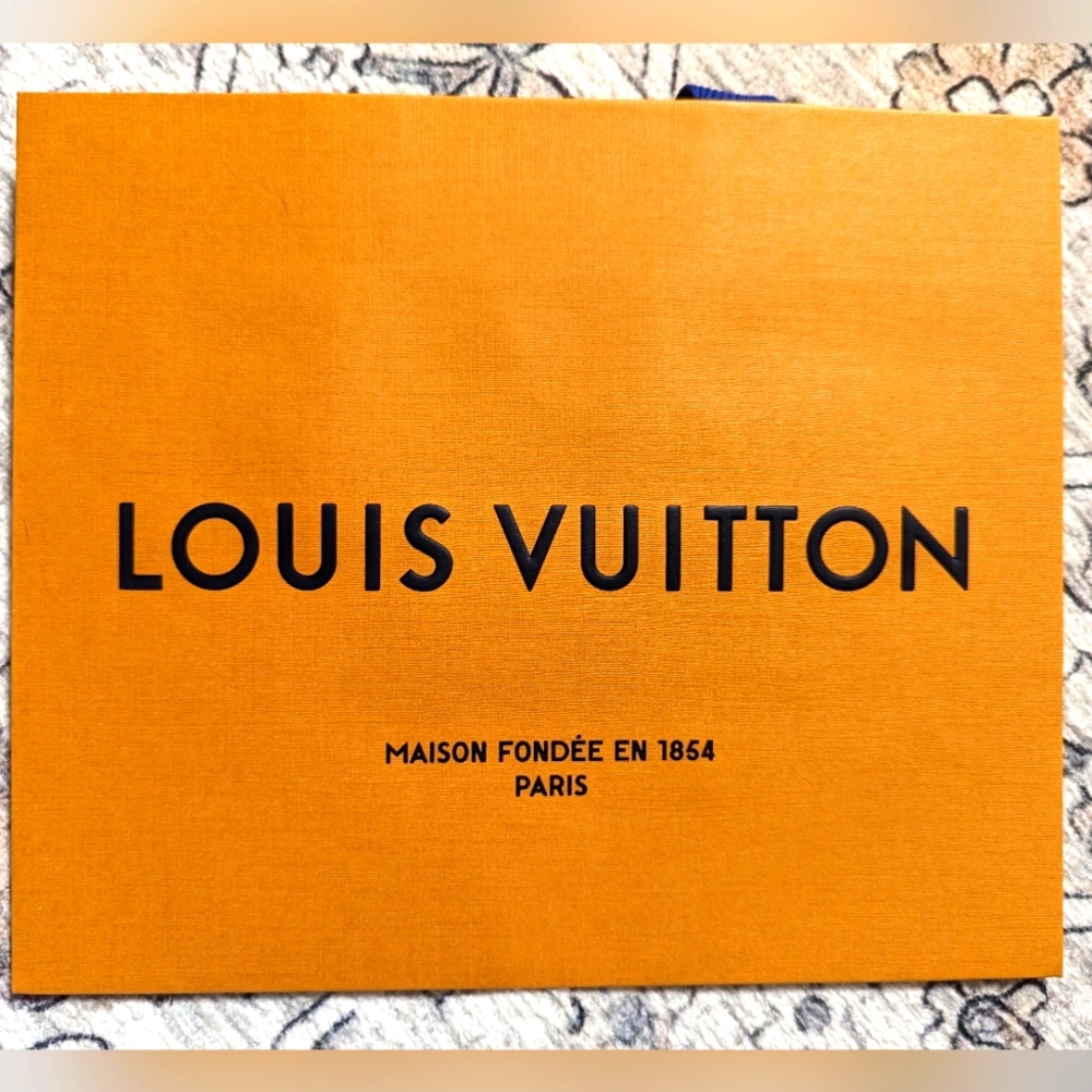 Louis Vuitton Paper Bag